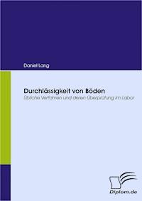 Durchlässigkeit von Böden - Daniel Lang - E-Book