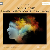Tono-Bungay - Book the Fourth: The Aftermath of Tono-Bungay (Unabridged) - H G Wells - Hörbuch