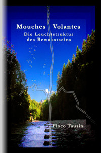 Mouches Volantes - Floco Tausin - E-Book