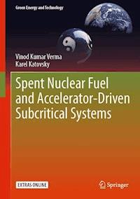Spent Nuclear Fuel and Accelerator-Driven Subcritical Systems - Vinod Kumar Verma - E-Book