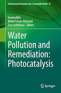 Water Pollution and Remediation: Photocatalysis -  - E-Book