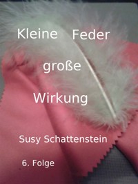 Kleine Feder - große Wirkung - Susy Schattenstein - E-Book