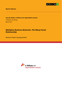 Multiplex Business Networks. The Many-Faced Relationship - Martin Hölscher - E-Book