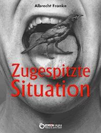 Zugespitzte Situation - Albrecht Franke - E-Book