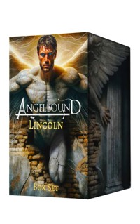 Lincoln Box Set - Christina Bauer - E-Book