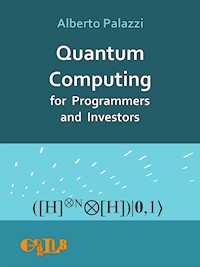 Quantum Computing for Programmers and Investors - Alberto Palazzi - E-Book