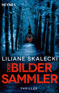 Der Bildersammler - Liliane Skalecki - E-Book