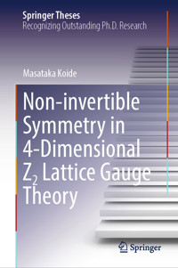 Non-invertible Symmetry in 4-Dimensional Z2 Lattice Gauge Theory - Masataka Koide - E-Book
