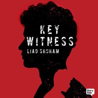 Key Witness - Liad Shoham - Hörbuch