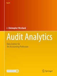 Audit Analytics - J. Christopher Westland - E-Book