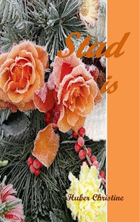 Stad is - Christine Huber - E-Book