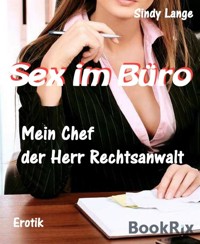 Sex im Büro - Sindy Lange - E-Book