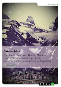 "Der Zauberberg" von Thomas Mann als Geschichte einer erotisch-geistigen Steigerung unter hermetischen Bedingungen - Christian Selzer - E-Book