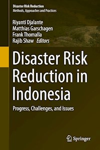 Disaster Risk Reduction in Indonesia -  - E-Book