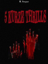 5 KURZE THRILLS - Michaela Sorgner - E-Book