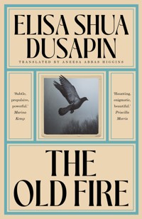 The Old Fire - Elisa Shua Dusapin - E-Book