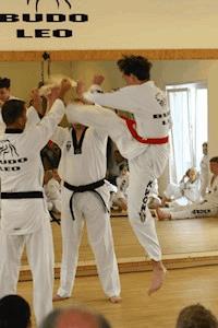 Ratgeber Kampfkunst - BUDO LEO - E-Book