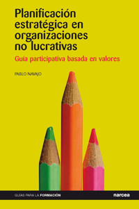 Planificación estratégica en organizaciones no lucrativas - Pablo Navajo - E-Book