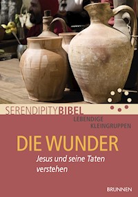 Die Wunder - Serendipity bibel - E-Book