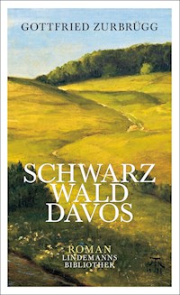 Schwarzwalddavos - Gottfried Zurbrügg - E-Book