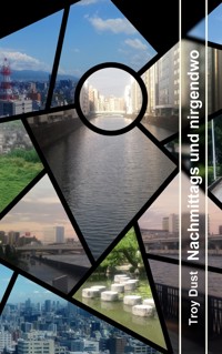 Nachmittags und nirgendwo - Troy Dust - E-Book