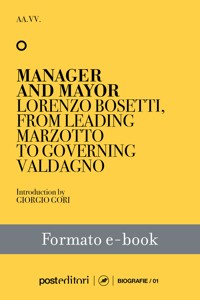 Manager and Mayor - AA. VV. - E-Book