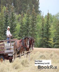 Neue Weltordnung 2 Juni 2023 - Eduard Wagner - E-Book