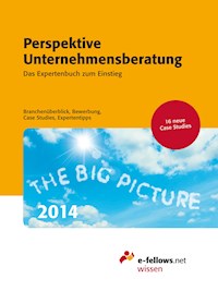 Perspektive Unternehmensberatung 2014 - - E-Book