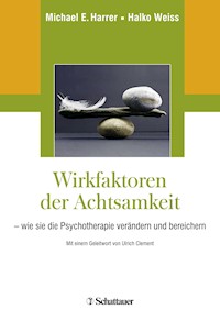 Wirkfaktoren der Achtsamkeit - Michael E. Harrer - E-Book