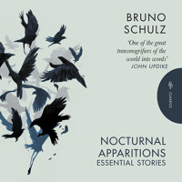 Nocturnal Apparitions - Bruno Schulz - Hörbuch