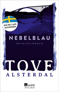 Nebelblau - Tove Alsterdal - E-Book