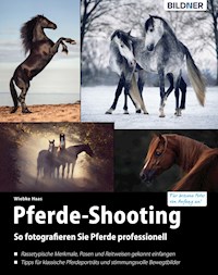Pferde-Shooting - Wiebke Haas - E-Book