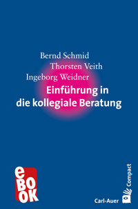 Einführung in die kollegiale Beratung - Bernd Schmid - E-Book