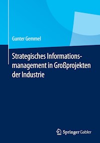 Strategisches Informationsmanagement in Großprojekten der Industrie - Gunter Gemmel - E-Book