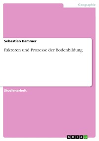 Faktoren und Prozesse der Bodenbildung - Sebastian Hammer - E-Book