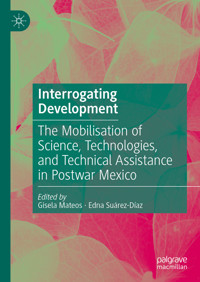 Interrogating Development -  - E-Book