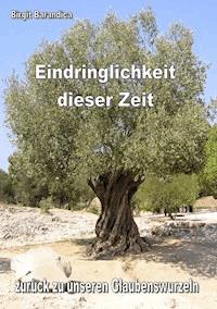 Eindringlichkeit dieser Zeit - Birgit Barandica - E-Book