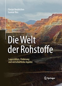 Die Welt der Rohstoffe - Florian Neukirchen - E-Book