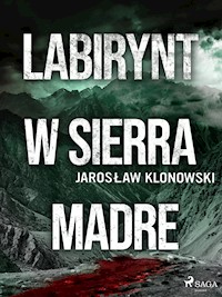 Labirynt w Sierra Madre - Jarosław Klonowski - E-Book