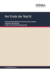 Am Ende der Nacht - Dieter Lietz - E-Book