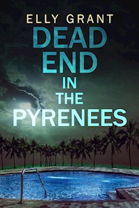 Dead End in the Pyrenees - Elly Grant - E-Book