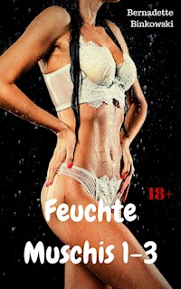 Feuchte Muschis 1-3 - Bernadette Binkowski - E-Book