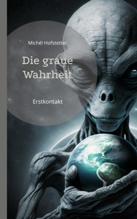 Die graue Wahrheit - Michel Hofstetter - E-Book
