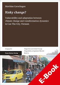 Risky change? - Matthias Garschagen - E-Book