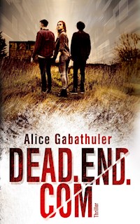 dead.end.com - Alice Gabathuler - E-Book