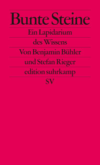 Bunte Steine - Benjamin Bühler - E-Book