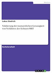 Validierung der raumzeitlichen Genauigkeit von Verfahren der Echtzeit-MRT - Lukas Diedrich - E-Book