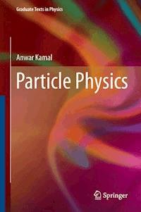 Particle Physics - Anwar Kamal - E-Book