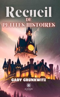 Recueil de petites histoires - Gaby Grunkwitz - E-Book