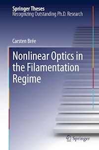 Nonlinear Optics in the Filamentation Regime - Carsten Brée - E-Book